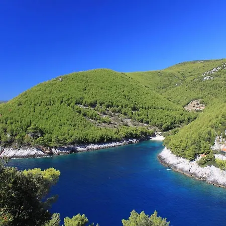 Σπίτι διακοπών Secluded Fisherman's Cove Bratinja Luka, Korcula - 9224 *